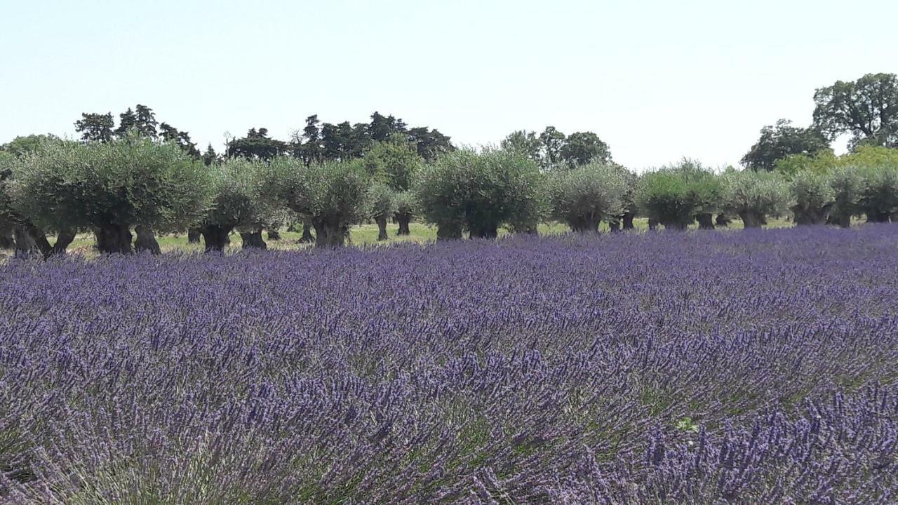 Bed & Breakfast Le Clos Des Vergers